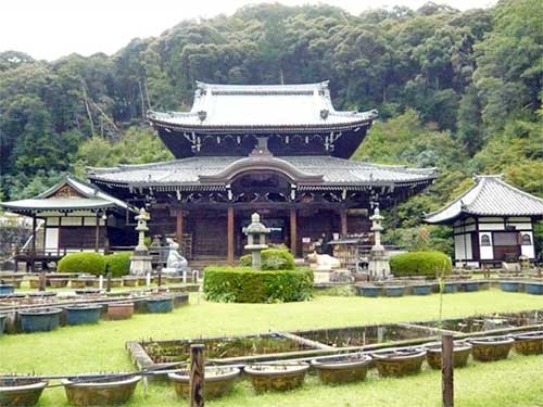 三室戸寺