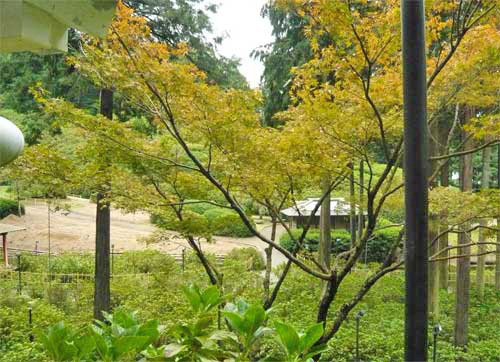 三室戸寺門の前からの景色