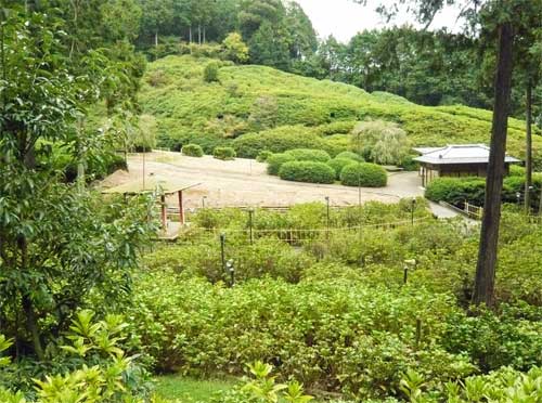 三室戸寺庭園（遠景）