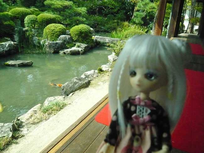 ピントが背後に