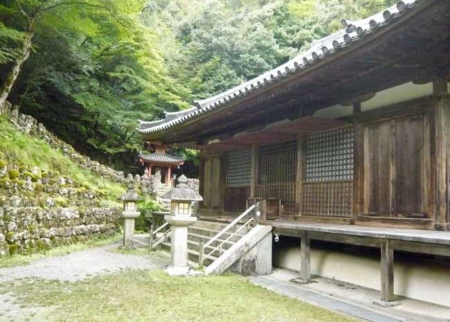 山の上っつか山の中