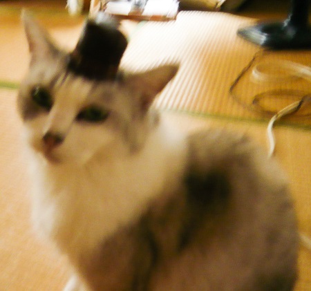 暗かったから…