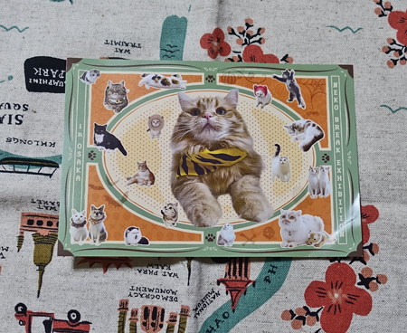 ねこはちょっと横柄なくらいでちょうどいい