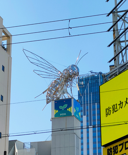 はがね・むしタイプ