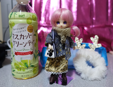 こんな恰好でした