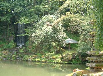 夏の兼六園なので緑一色！
