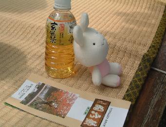 兼六園の休憩所でぐったり管理人（ぬいぐるみ）