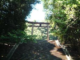 階段の上の木漏れ日の鳥居